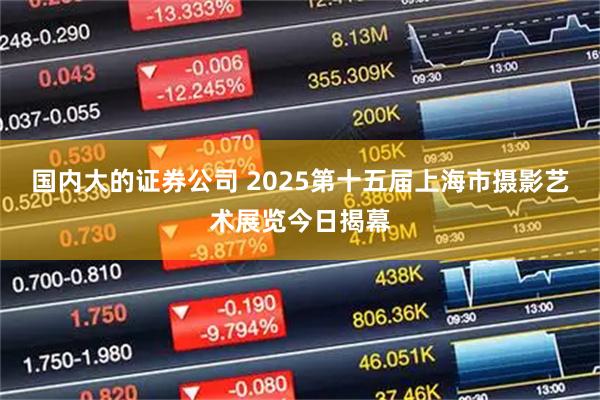 国内大的证券公司 2025第十五届上海市摄影艺术展览今日揭幕